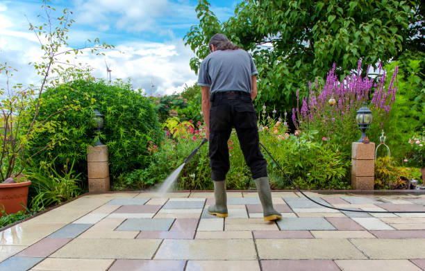 Best Fence Cleaning  in Kaaawa, HI